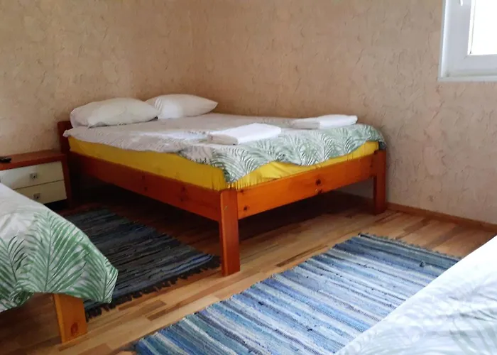 Willipu Peremajad * Pusi